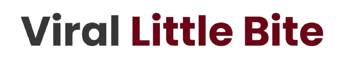 The official brand logo for Viral Little Bite featuring the word 'Viral' in dark charcoal gray and 'Little Bite' in a rich, deep burgundy red sans-serif font against a transparent background.